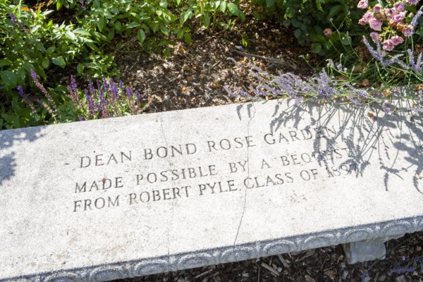 Stone Bench Detail