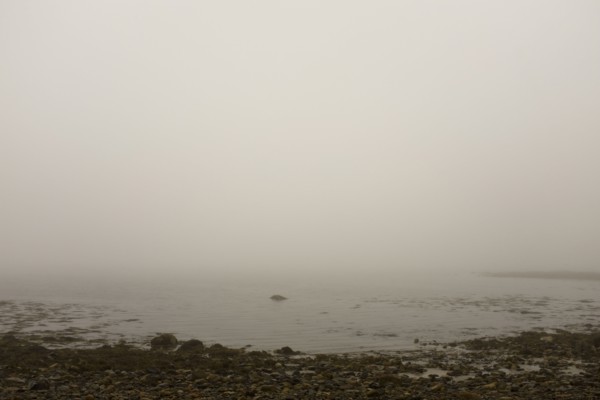Heavy Fog at Beach