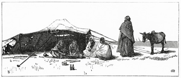Bedouin Camp near Cairo