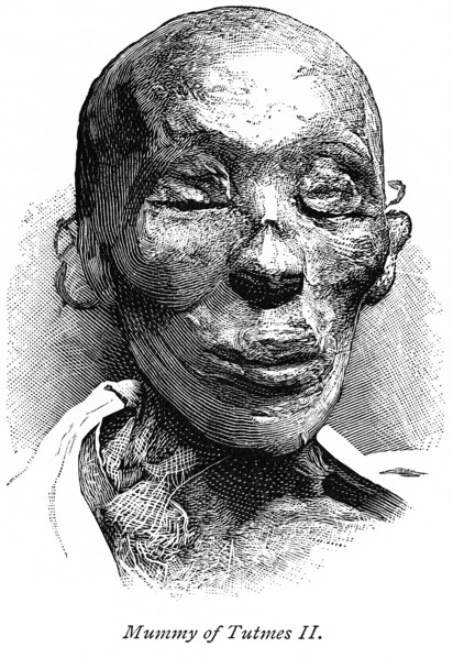Mummy of Tutmes II (Thutmose II)