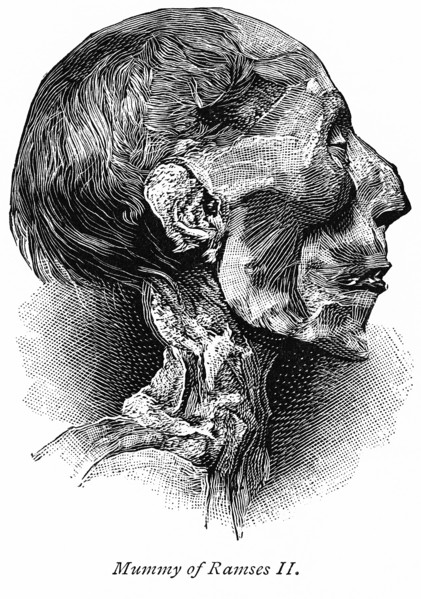 Mummy of Ramses II