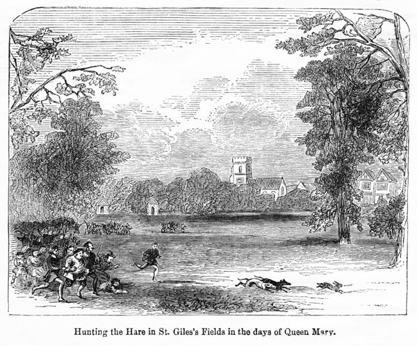 Hunting the Hare in St. Giles’s Fields in the days of Queen Mary