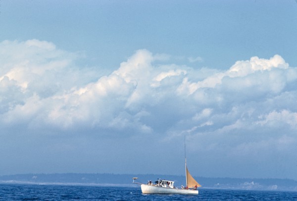 Sailboat at Sea