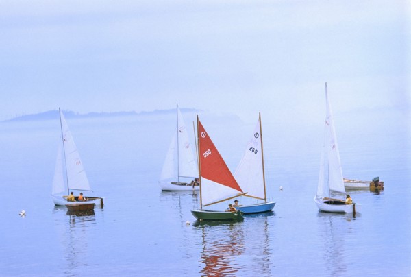 Sailboats