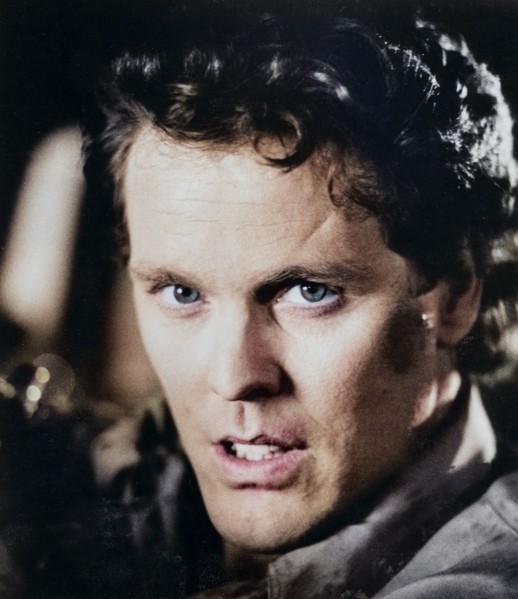 Wings Hauser