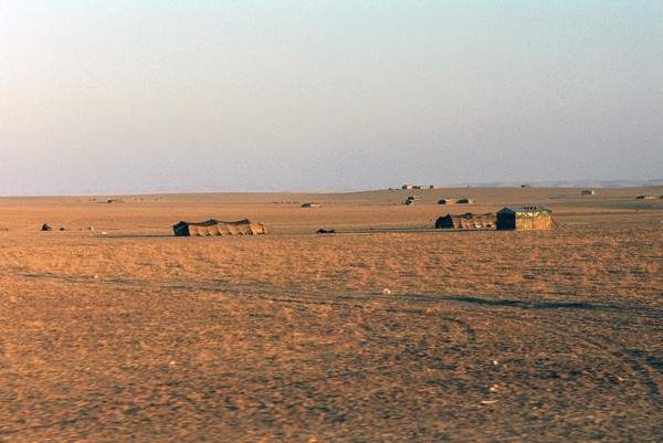 Bedouin tents