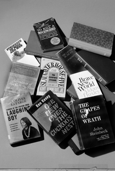 Selection of books banned by U.S. schools