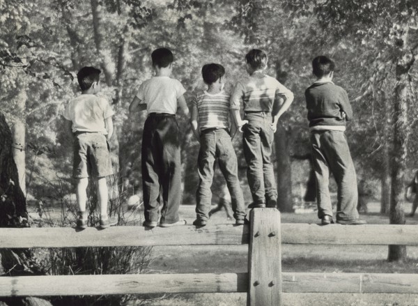 Rear view of five young boys standing on park fence