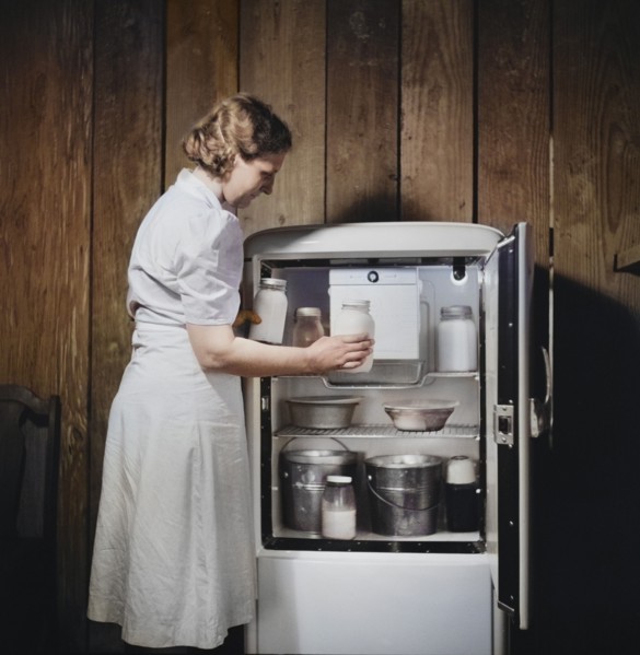 Mrs. Pleas Rodden, FSA (Farm Security Administration) rural rehabilitation borrowers, putting fresh