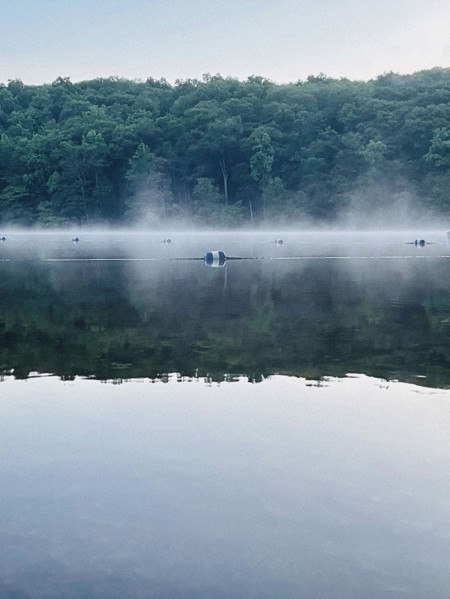 Misty lake at sunset