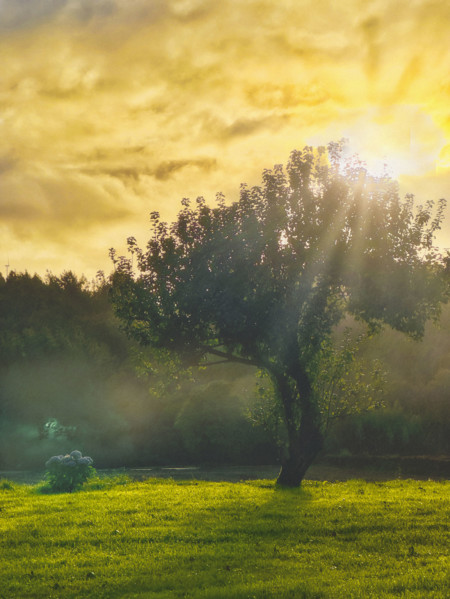 Scenic landscape with early morning fog, Galicia, Spain
