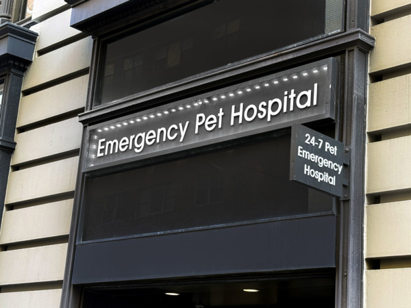 Emergency Pet Hospital, building exterior, New York City, New York, USA
