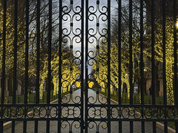 Entrance Gate at College Walk at dusk with illuminated lights wrapped around trees, Columbia