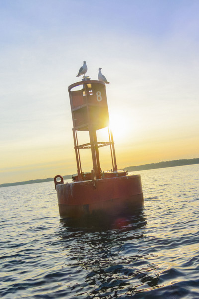 Red 8 buoy with two seagulls at sunset