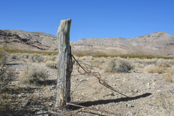 Old barbed wire fence post in ghost town, Rhyolite, Nevada, USA