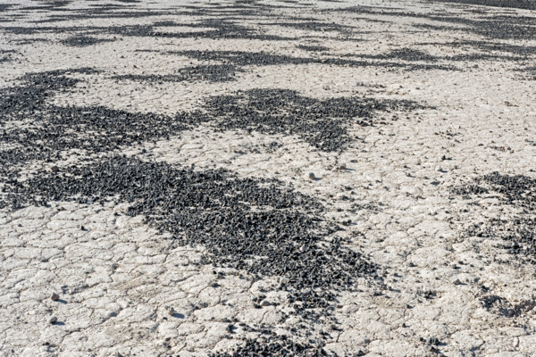 Scattered cinders from volcanic steam explosion on dried lake bed, Death Valley National Park,