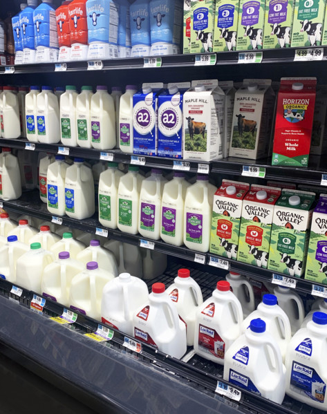 Dairy section in grocery store, Brooklyn, NY, USA