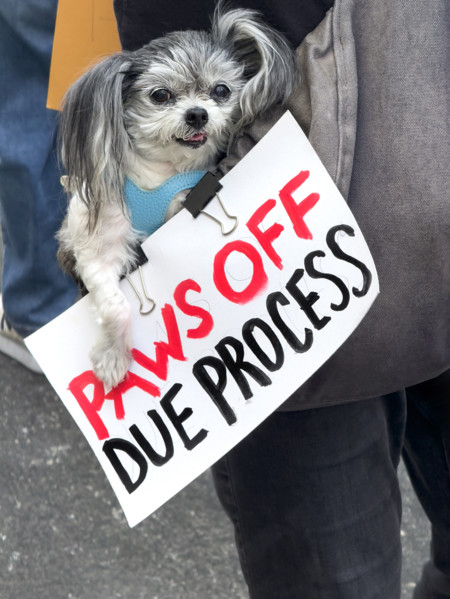 Demonstrators participating in "Our City, Our Fight: Protect Migrants, Protect the Planet" protest,