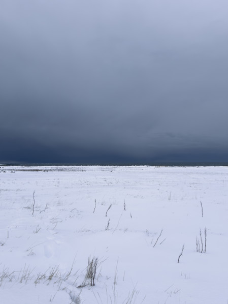 Snowy field with dramatic gray sky
