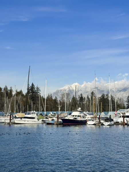 Boats in harbor with majestic snow-covered mountains in background, Coal Harbour, Vancouver,