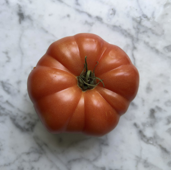 High angle view of heirloom tomato