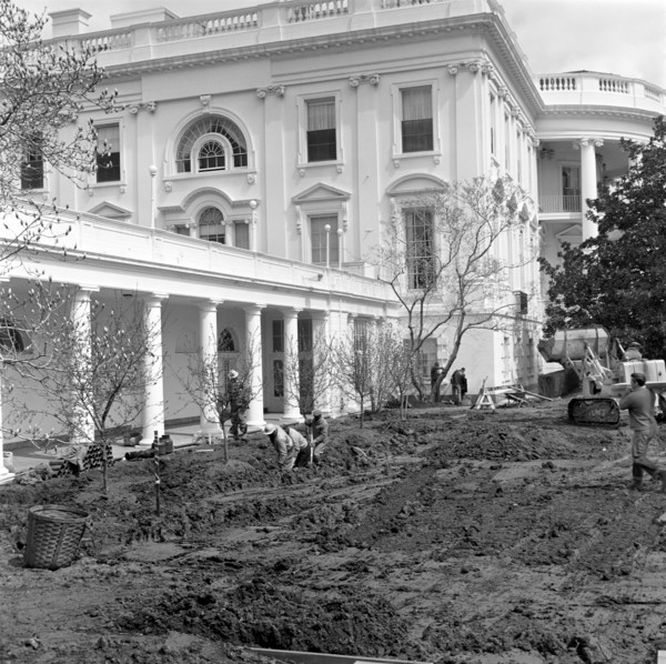 Group of unidentified workers dig into section of the lawn at the Rose Garden construction site