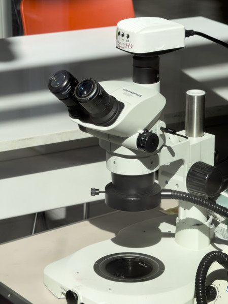 Olympus SZ61 Microscope in research laboratory, BioBase Harlem, Zuckerman Institute, Columbia
