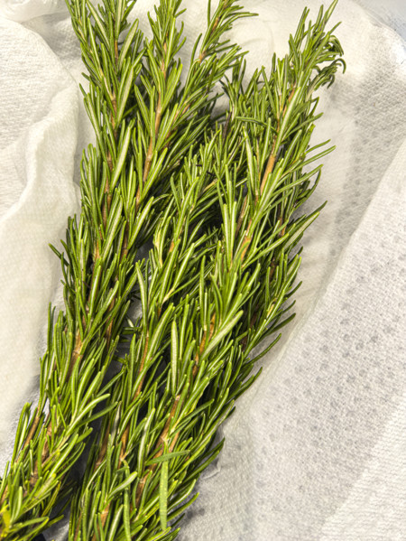Twigs of Rosemary