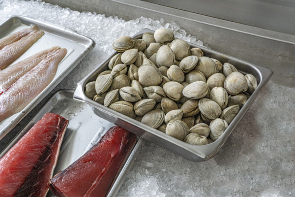Fresh seafood display, Rozzo's Fish Market, 159 9th Avenue, Manhattan, New York City, New York, USA