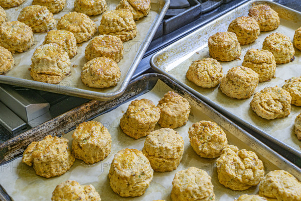 Baking sheets filled with savory scones
