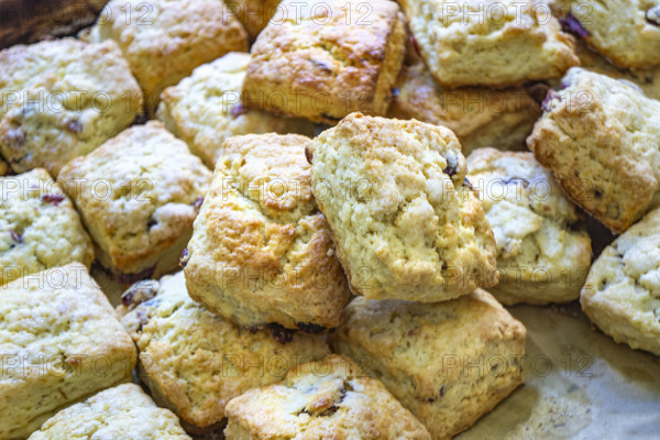 Close-up view of baking sheet filled with cranberry scones