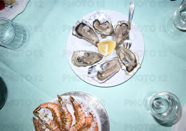 High angle view of dining table featuring plates of oysters and prawns with glasses of water and