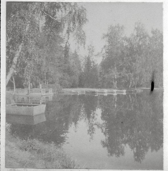 The Park at Pavolvsk, Saint Petersburg
