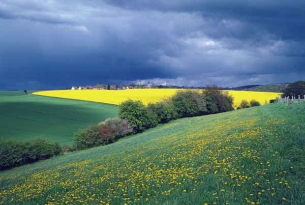 Stormy landscape in Picardy