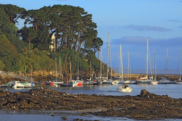 Douarnenez, Finistère
