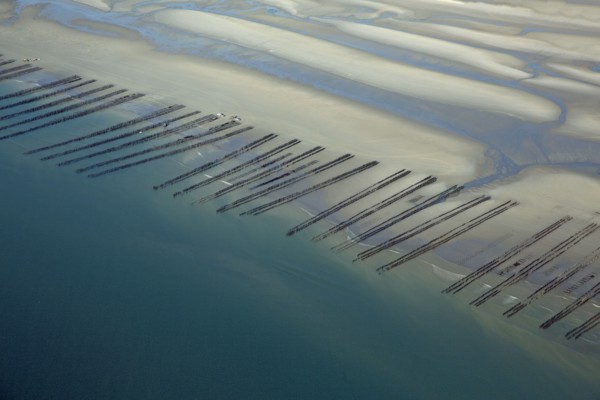 Côte d'Opale, Somme