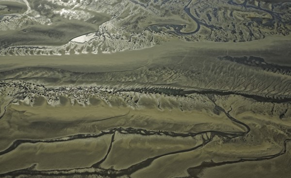 Baie d'Authie, Pas-de-Calais