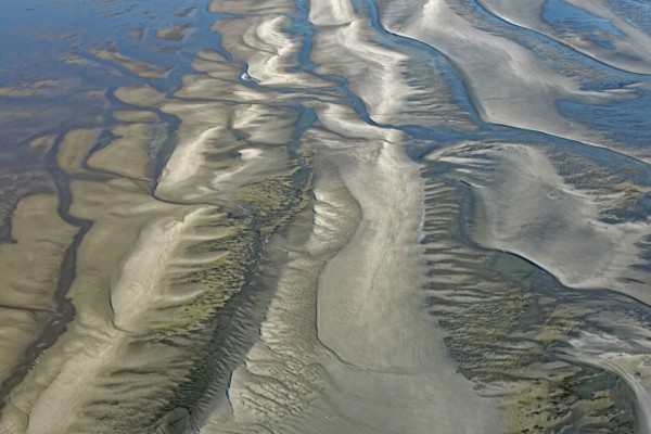 Baie d'Authie, Pas-de-Calais