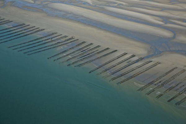 Côte d'Opale, Somme