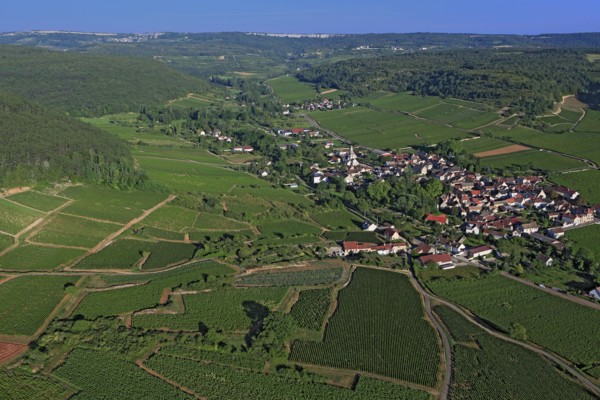 Auxey-Duresses, Côte-d'Or