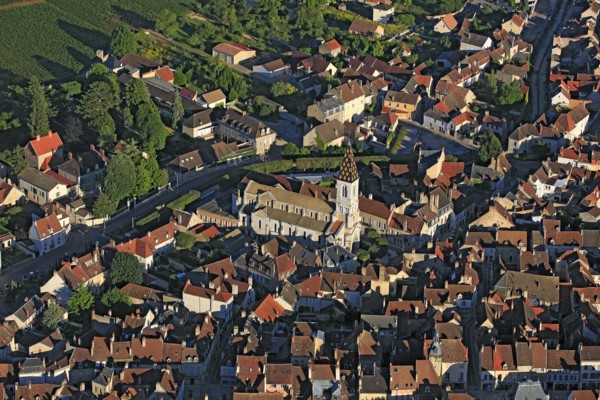 Nuits-Saint-Georges, Côte-d'Or