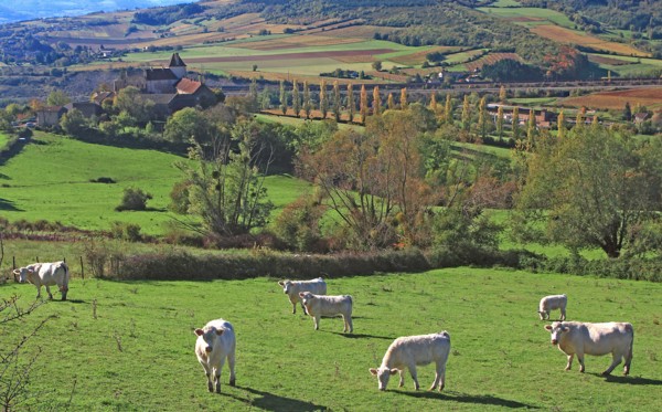 Landscape of Burgundy towards Cluny