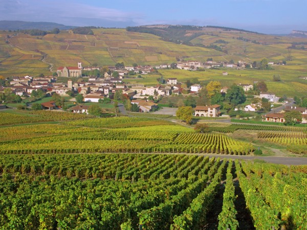 Pouilly-Fuissé, Saône-et-Loire