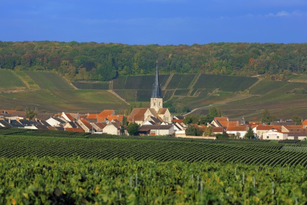 Chamery, Marne