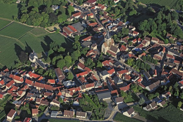 Ville-Dommange, Marne
