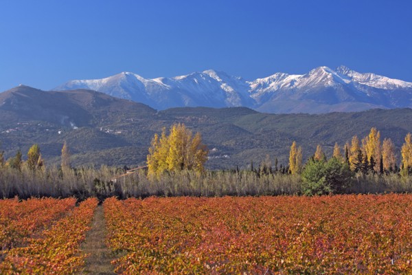 Massif du Canigou, Pyrénées-Orientales