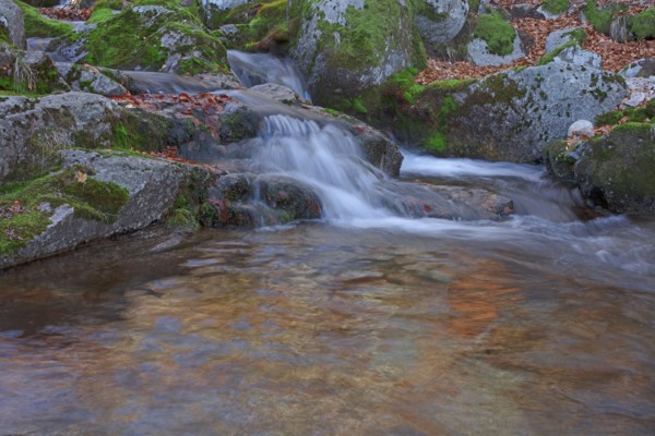 Cascade, Lozère