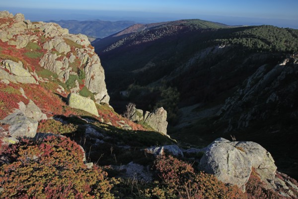 Génolhac, Gard