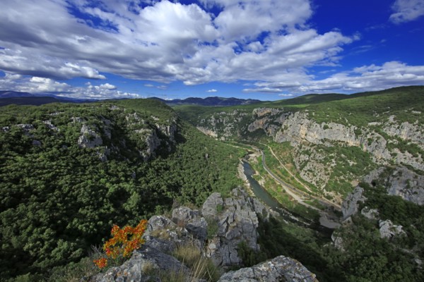 Saint-Bauzille-de-Putois, Hérault