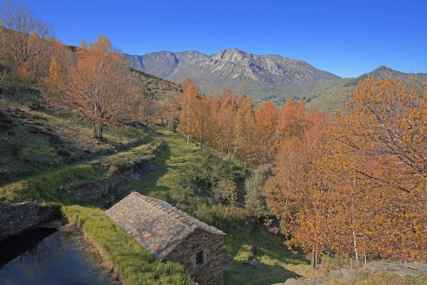 Vialas, Lozère